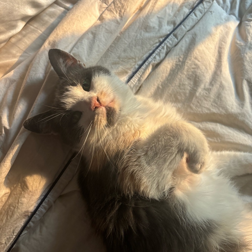 Meet your Posher, Emma
